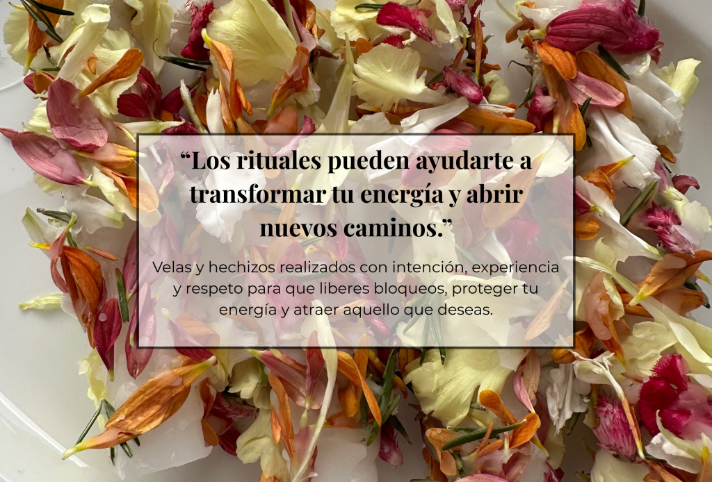Encabezado (1)