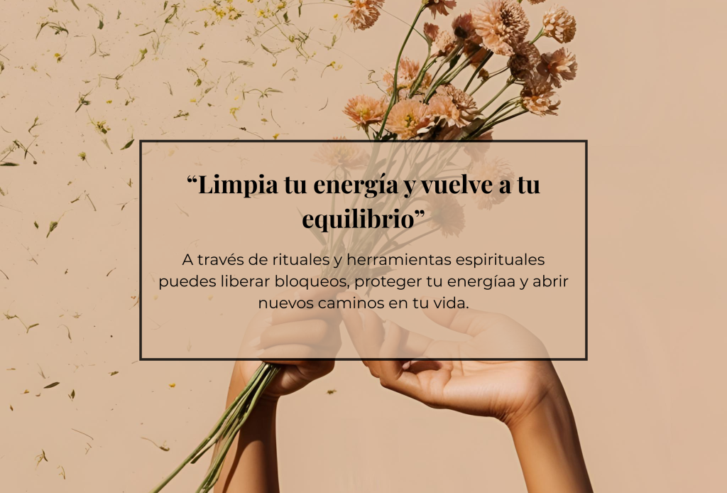 Encabezado